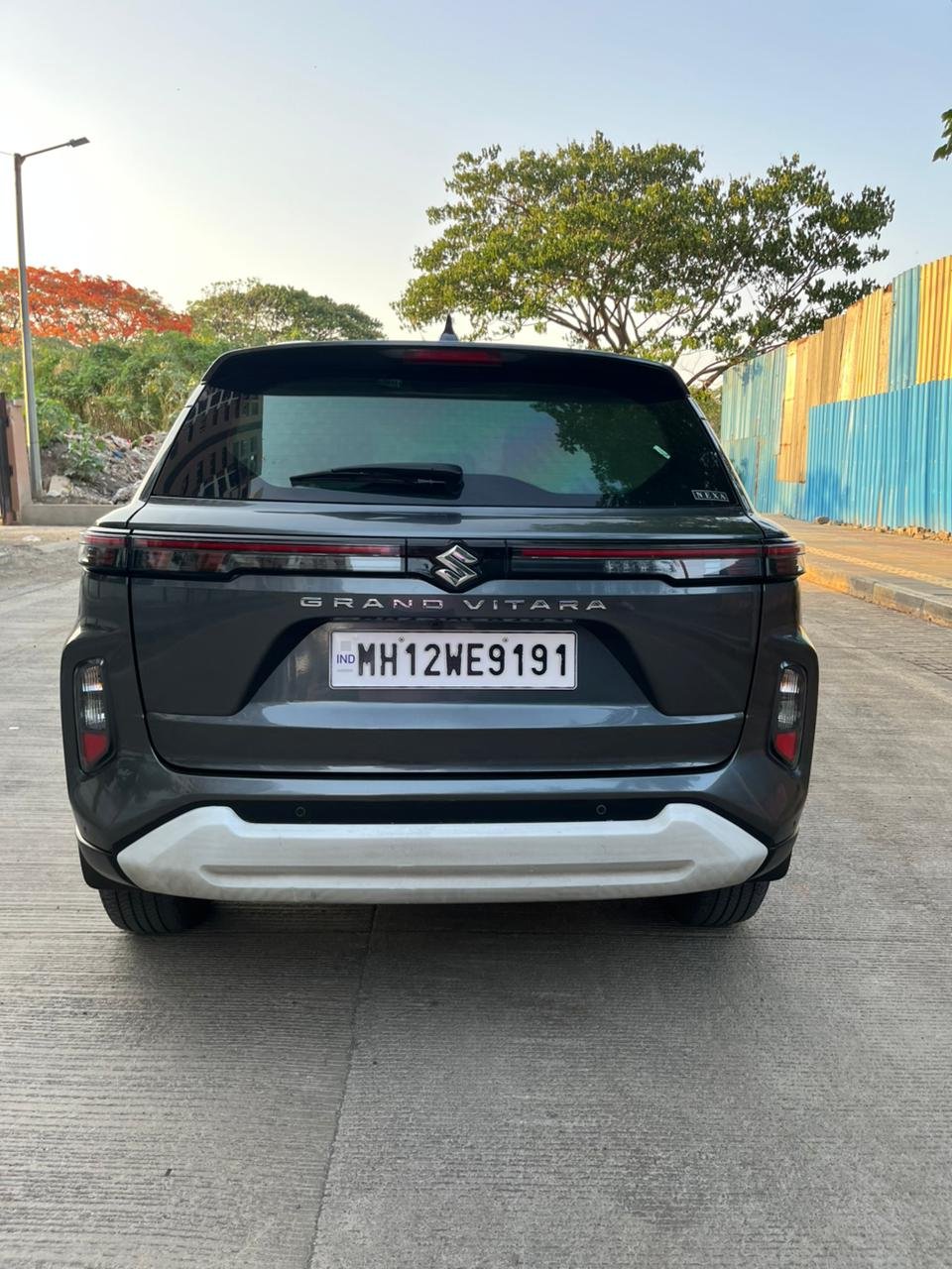 Grand Vitara Petrol CNG